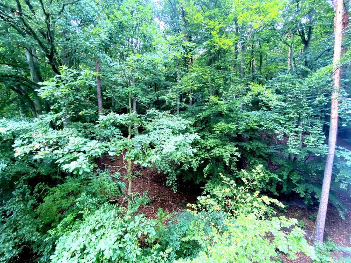 Forest - 23 Marca Sopot By Grand Apartments Exteriör bild